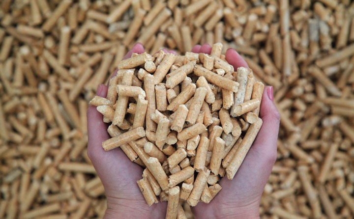 鋸末顆粒機的生物質顆粒燃料 鋸末顆粒機的生物質顆粒燃料