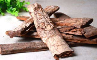 木材加工廠的廢棄物刨花能夠用來做什么？鋸末顆粒機(jī)告訴你