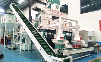 2023年木屑顆粒機生產生物質燃料顆粒行情、利潤怎么樣，投資多少大約？