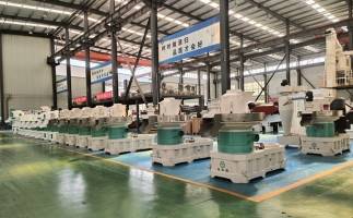 2025 年投資木屑顆粒機的十大核心優勢與實戰指南